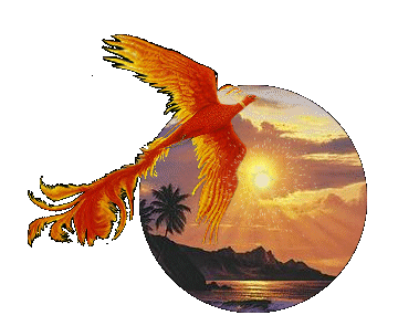 Il n'est oiseau .....